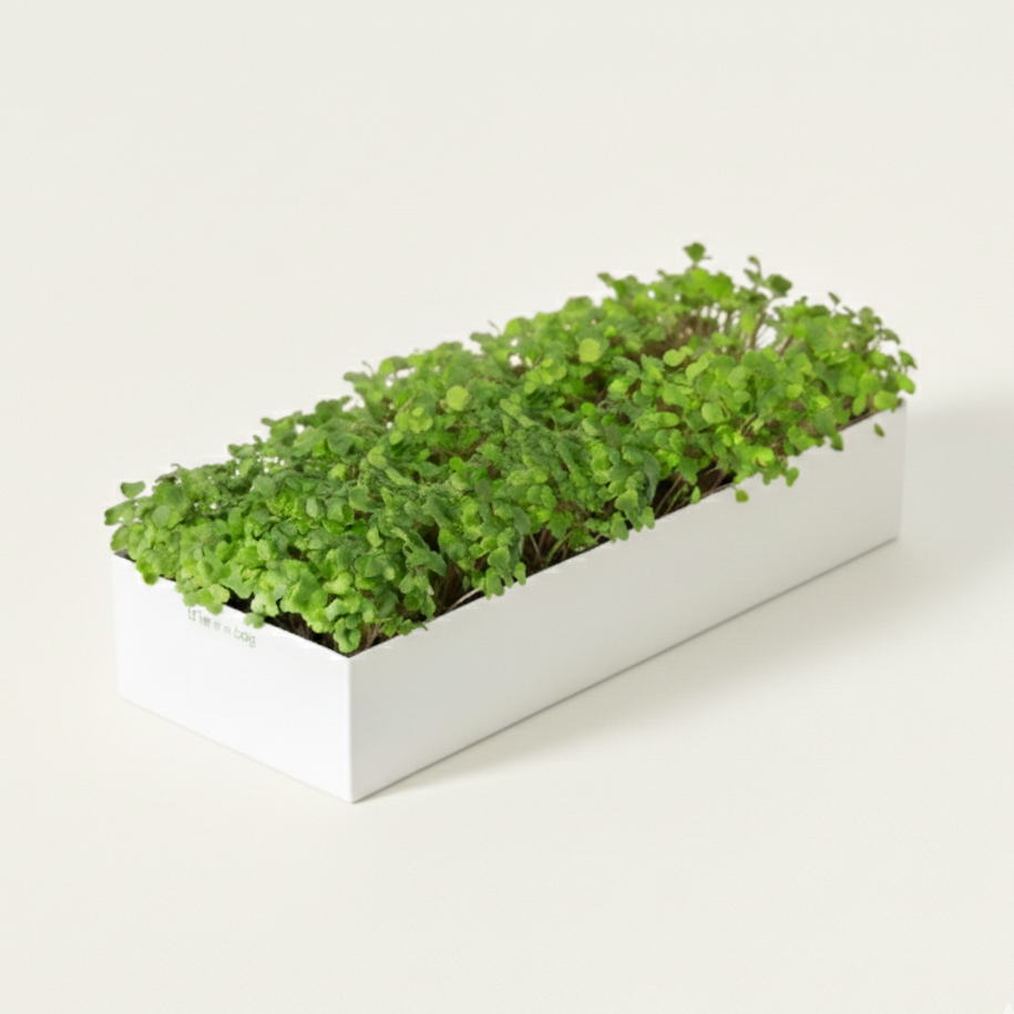 Microgreens Kweekset Trio