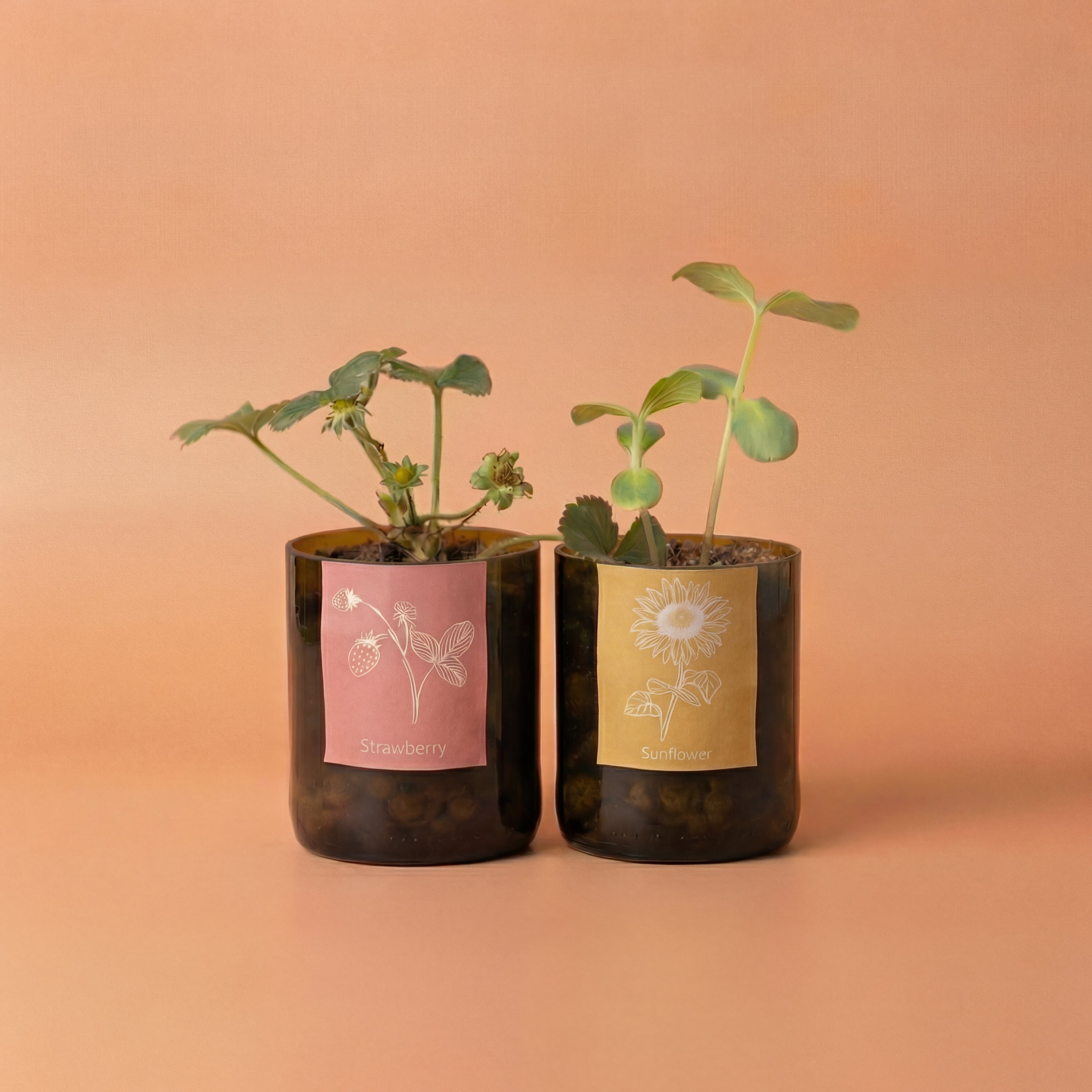 Nieuwe producten