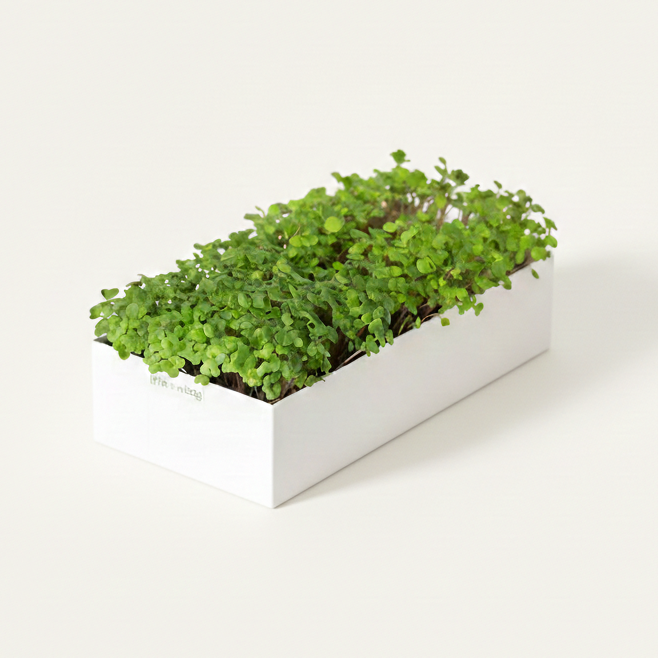 Microgreens Kweekset Duo