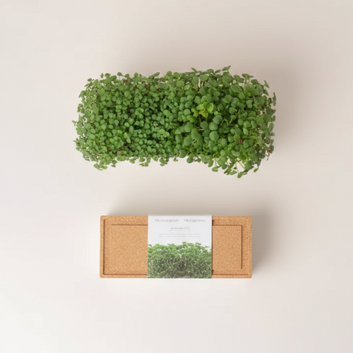 Microgreens Kweekset Duo