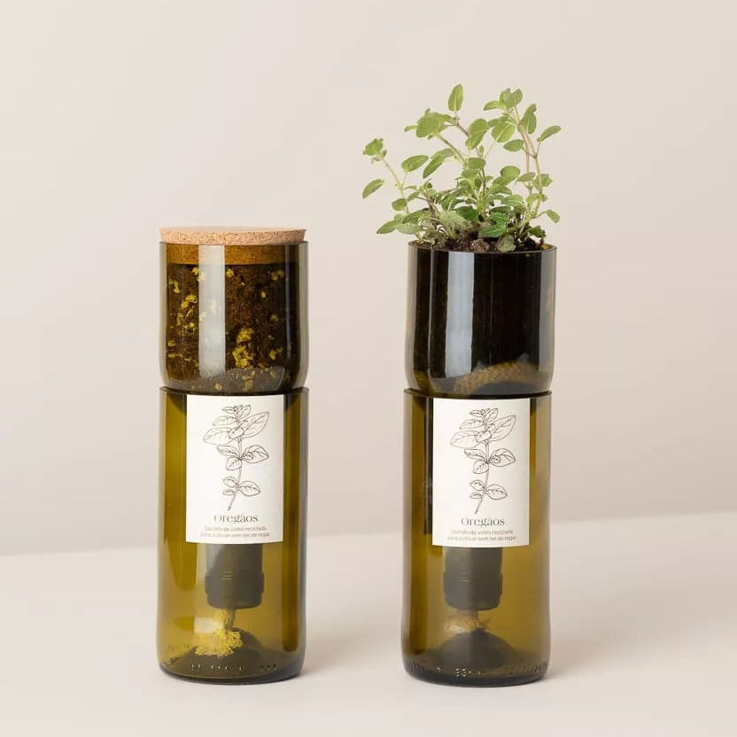 Wijnfles Oregano Kweekset