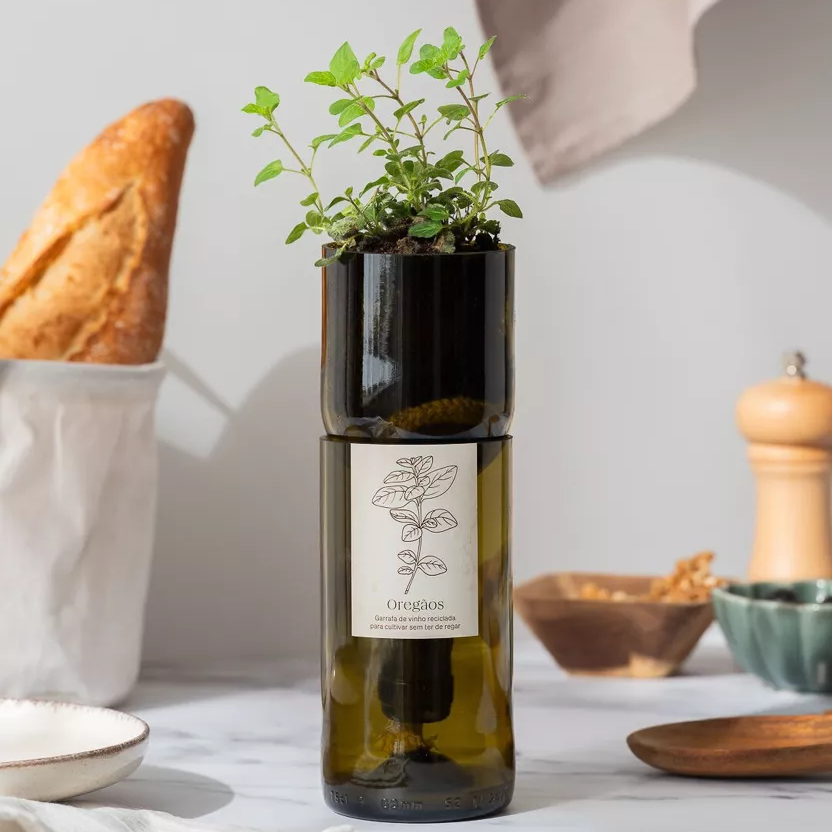 Wijnfles Oregano Kweekset