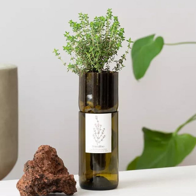 Wijnfles Tijm Kweekset